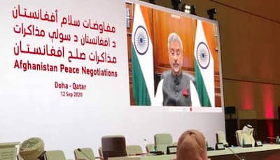 India supports 'immediate ceasefire' in Afghanistan, says rights of minorities should be respected