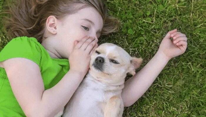 Study reveals loss of a pet can potentially trigger mental health issues in children