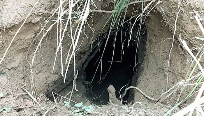 Pakistan using underground tunnels to push terrorists, drones to drop arms: J&amp;K DGP