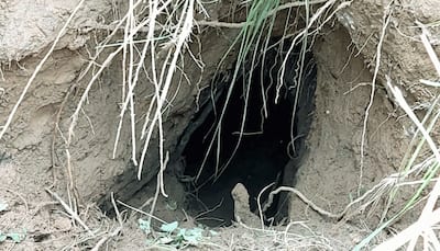 Pakistan using underground tunnels to push terrorists, drones to drop arms: J&K DGP