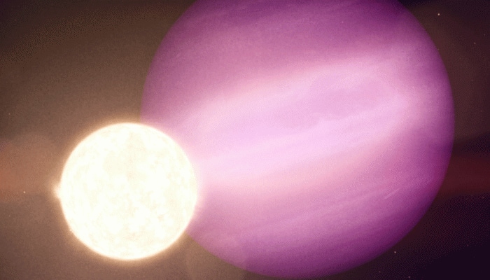 First possible &#039;survivor&#039; planet found orbiting white dwarf star