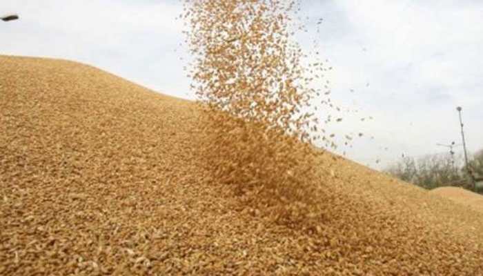 MSP for paddy increased 2.4 times, wheat 1.7 times, pulses 75 times in 5 years