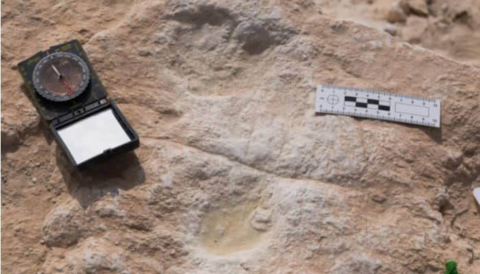 Oldest human footprints found in dunes of northern Saudi Arabia 