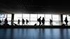 Dogs used to detect coronavirus in pilot project at Finland's Helsinki airport