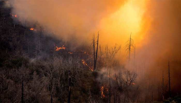 Largest California wildfire threatens marijuana-growing area