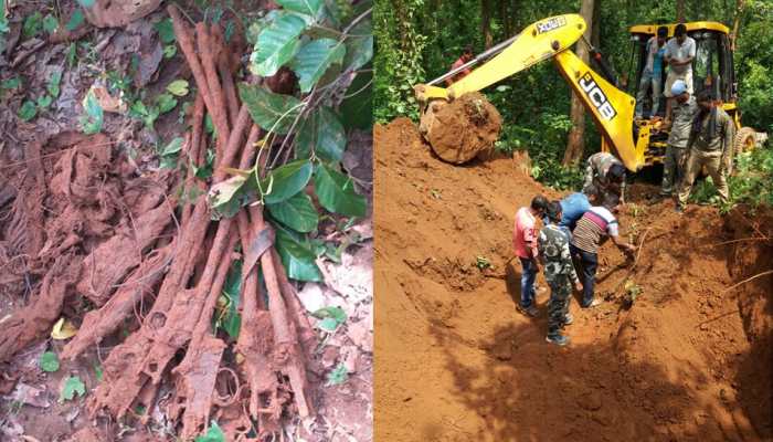 Buried a decade ago, huge cache of arms recovered in West Bengal&#039;s Midnapore