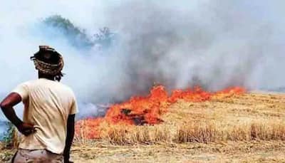 COVID-19: Delhi High Court issues notice on plea to stop stubble burning in Punjab, Haryana