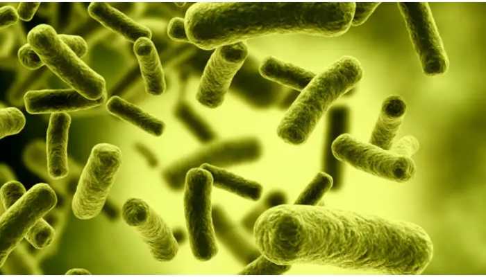 Brain-eating amoeba detected in water supply kills six-year old in US' Texas