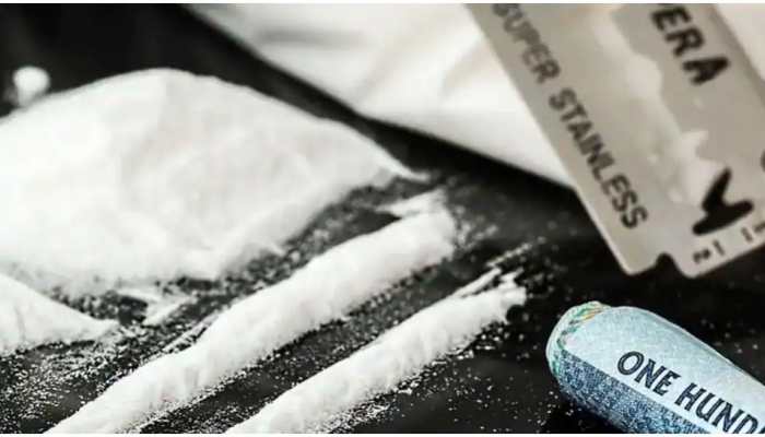 Majority of narcotic drugs in India infiltrated from Pakistan through cross border transactions: Survey