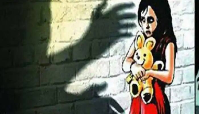 Minor girl gang-raped in Rajasthan&#039;s Barmer, case registered