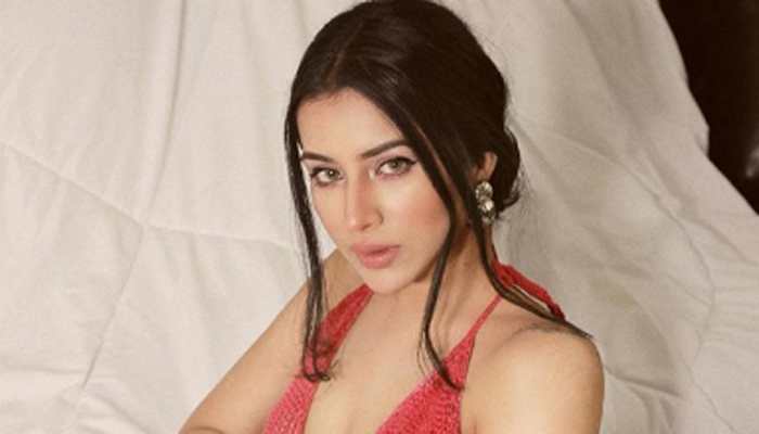 Bigg Boss 14: Sara Gurpal 'will go mad' if she gets film with Salman Khan