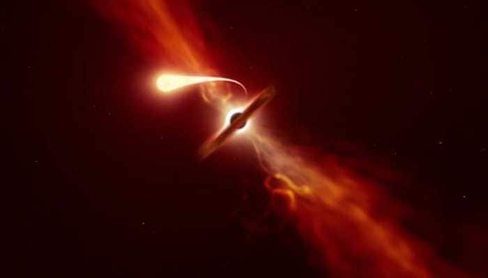 Black hole devours Sun-sized star, astronomers capture exact moment: Watch