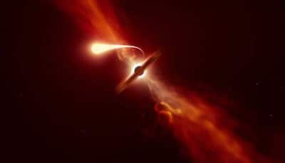 Black hole devours Sun-sized star, astronomers capture exact moment: Watch