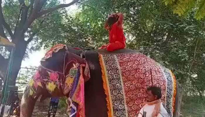 Baba Ramdev falls off elephant while performing yoga at Mathura camp - Watch
