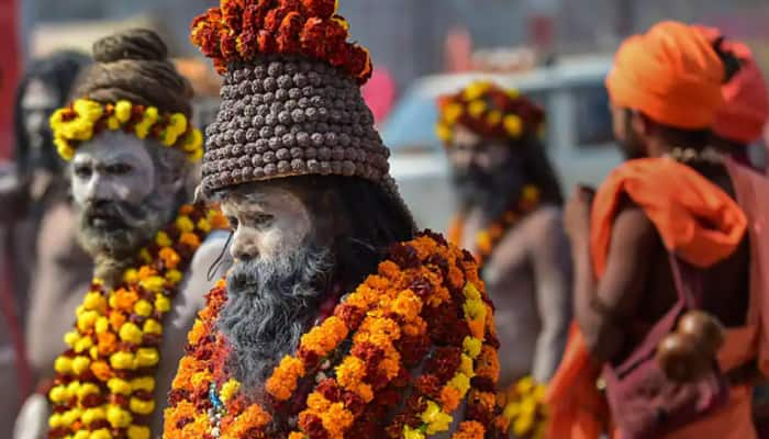 Facts About Maha Kumbh Mela 