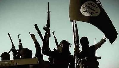 Delhi court sentences 15 ISIS operatives to varying jail terms in conspiracy case