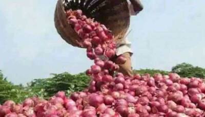Onion prices to touch new high during Diwali — Check rates from Lasalgaon mandi