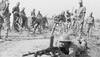 Black Day: India Army foiled Pakistan's misadventure in Jammu and Kashmir; read details 