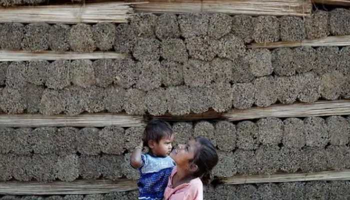 Modi govt&#039;s big push for jute industry! 100% food grains, 20% sugar to be mandatorily packaged in jute bags