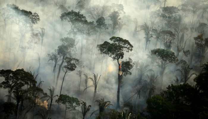 Fires in Brazil's Amazon rainforest surge in October