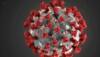 COVID-19 data in India crossed 82-lakh mark with 38,310 new infections