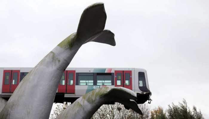 What a tale! Tram runs off track in Netherlands, gets saved by whale&#039;s tail