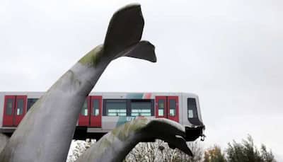 What a tale! Tram runs off track in Netherlands, gets saved by whale's tail