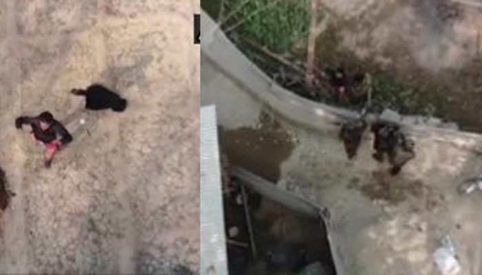 Two Pakistani terrorists killed, one local surrendered during encounter with security forces in Jammu and Kashmir's Pulwama