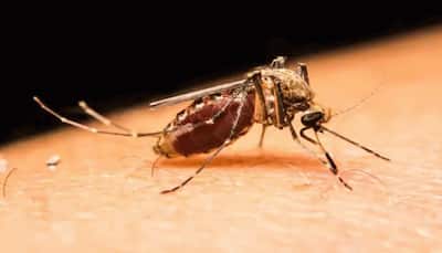 IMD to start issuing predictions for major malaria outbreak from next monsoon, says official