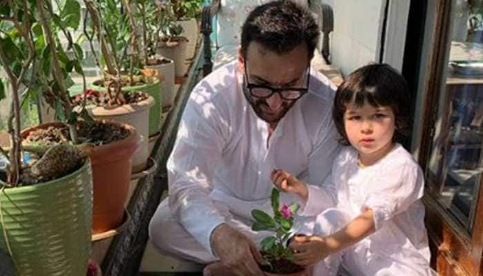 Trending: Taimur Ali Khan and daddy Saif Ali Khan enjoy farm life in Pataudi, leaving fans stunned! 