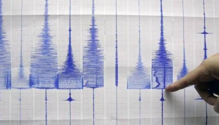 Earthquake of medium-intensity hits south Gujarat; no casualty