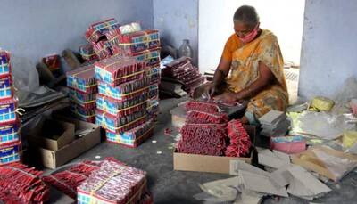 Ahead of Diwali, Delhi suspends all licences issued for sale of firecrackers 