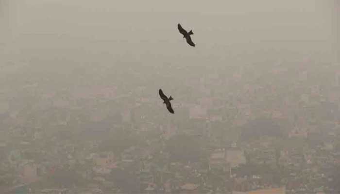 Delhi-Noida choke as air quality remains &#039;severe&#039; for fifth consecutive day