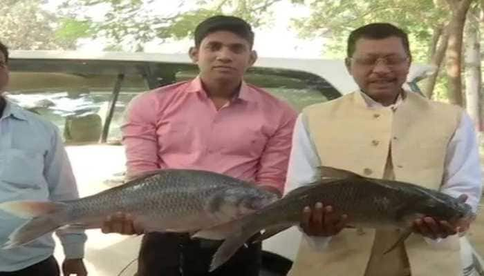 Bihar Assembly election 2020 results: RJD supporters gift Tejashwi Yadav live fish for good luck