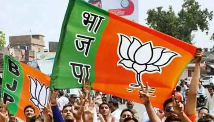 Madhya Pradesh bypoll results: BJP wins 16 seats so far, gets majority in House
