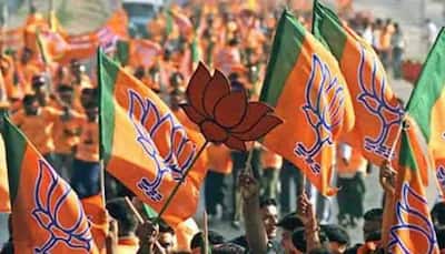 After Bihar Assembly election 2020, BJP and JD(U) win local body polls in these places