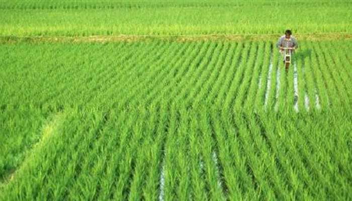 PM-KISAN Scheme: Which farming families are not eligible for availing Rs 6,000 per year benefit?