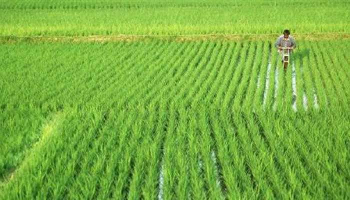 FM announces Rs 65,000-cr fertilizer subsidy for farmers in Aatmanirbhar 3.0