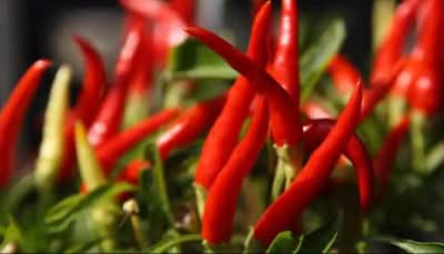 Adding chilli peppers to a diet can contribute to a longer life, finds out study