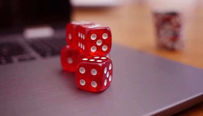 Ordinance bans online gambling in Tamil Nadu; jail and fine for violators