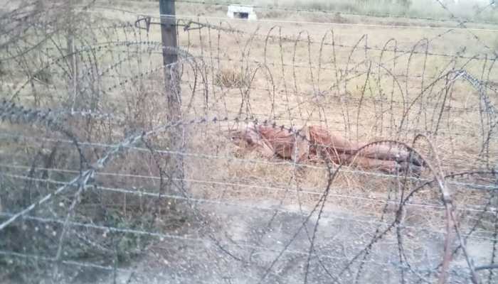 India hands over body of Pakistani intruder killed by BSF in J&amp;K’s Samba to Pakistan Rangers 