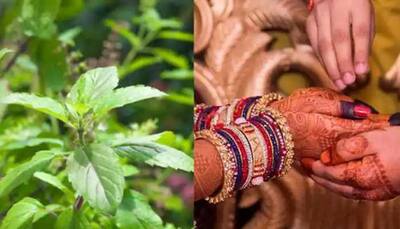 Tulsi Vivah 2020: Date, Puja time and significance