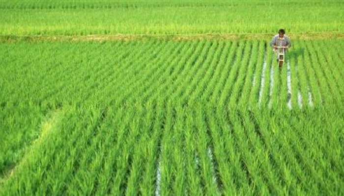 PM Kisan 7th instalment coming in December: How to check your name in the list, important helpline numbers