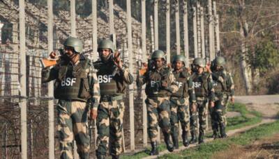 BSF officer martyred in firing by Pakistani troops along LoC in J&K's Poonch