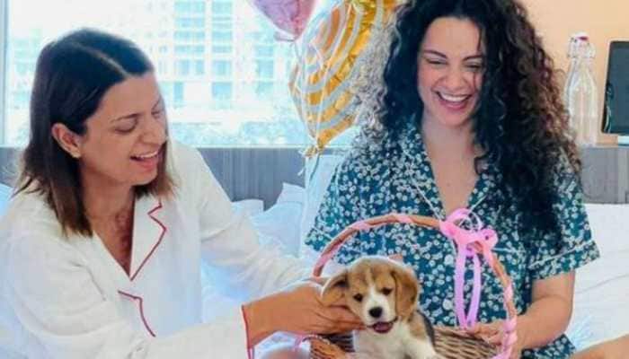 Kangana Ranaut&#039;s special birthday gift to sister Rangoli Chandel will make you smile. Such cute pics!