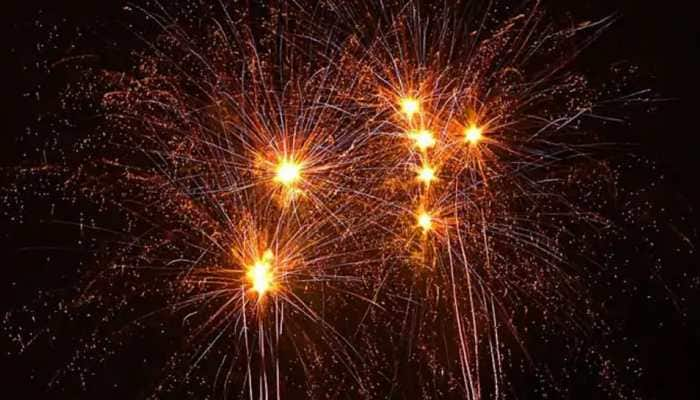 NGT extends ban on sale, use of firecrackers amid decline in air quality