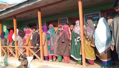 Jammu and Kashmir DDC elections phase 4: 34 constituencies go to polls; 249 candidates in fray