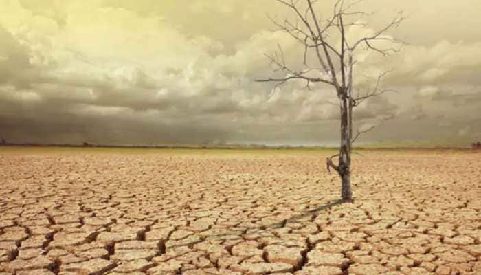 India, Europe to fight climate change together; lawmakers, experts discuss solutions for climate crisis 