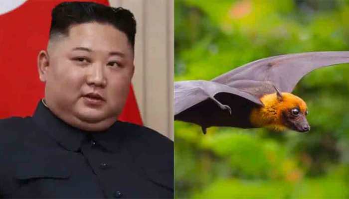 Yearender 2020: Top hoaxes involved Kim Jong-un, PubG and COVID lockdown