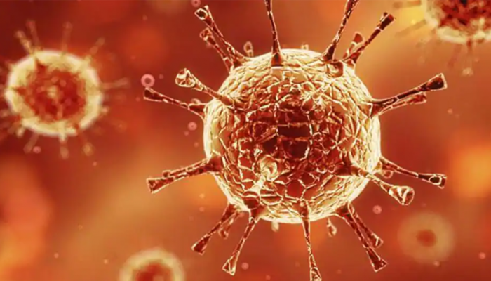 In a first, coronavirus found in wild animal in this country - Read details here